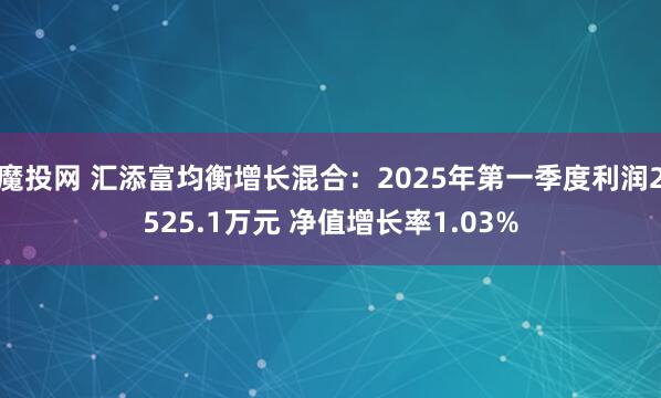 魔投网 汇添富均衡增长混合：2025年第一季度利润2525.1万元 净值增长率1.03%