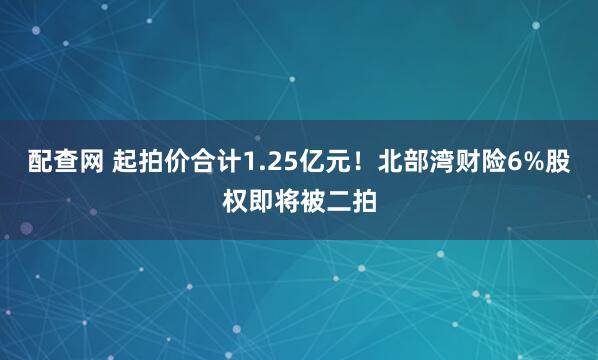 配查网 起拍价合计1.25亿元！北部湾财险6%股权即将被二拍