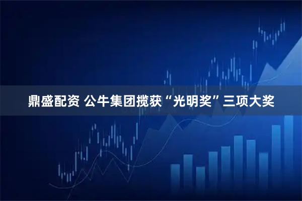 鼎盛配资 公牛集团揽获“光明奖”三项大奖