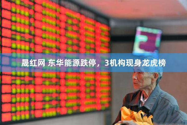 晟红网 东华能源跌停，3机构现身龙虎榜